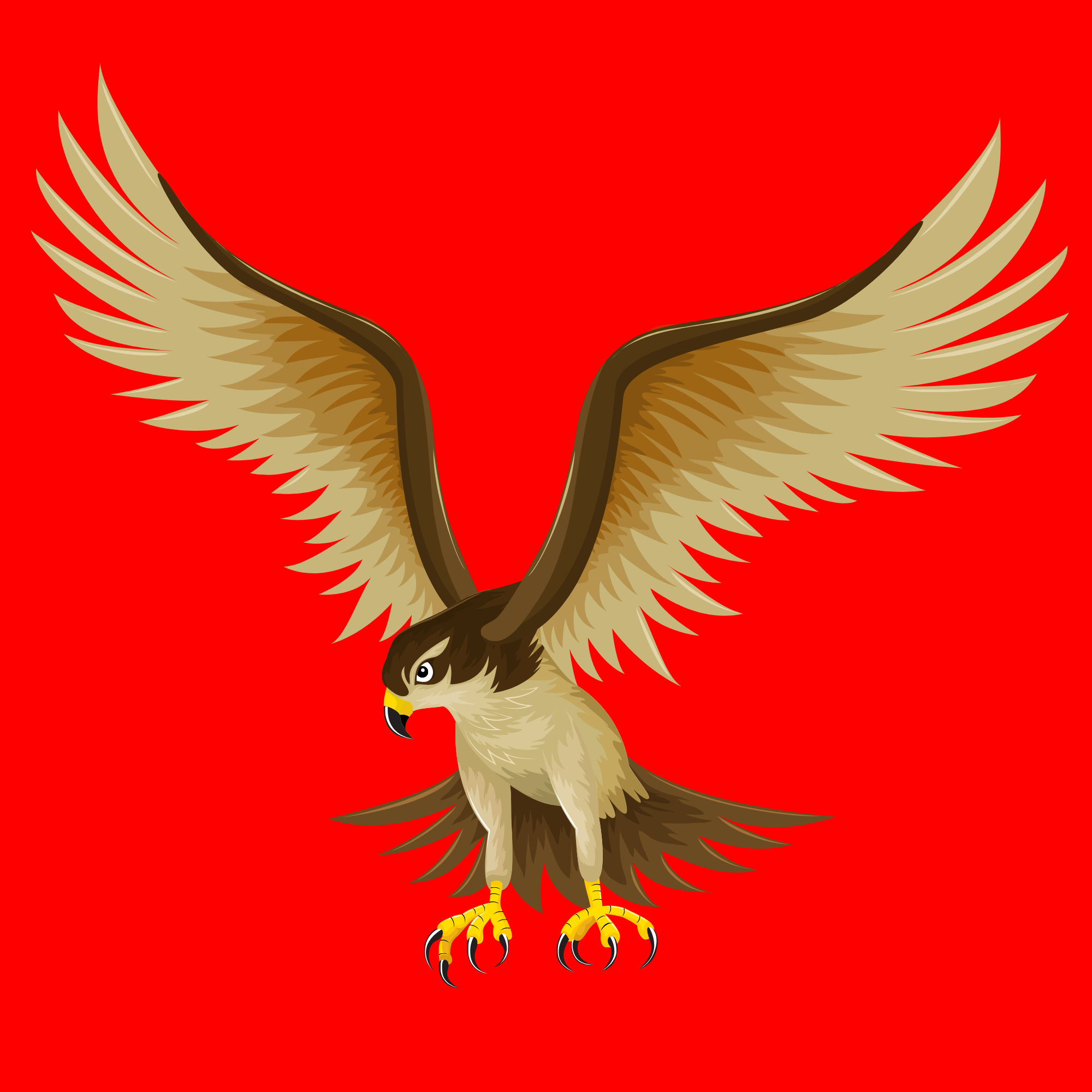 Resim Alt Etiketi